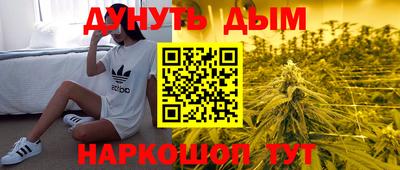 дмт Краснознаменск