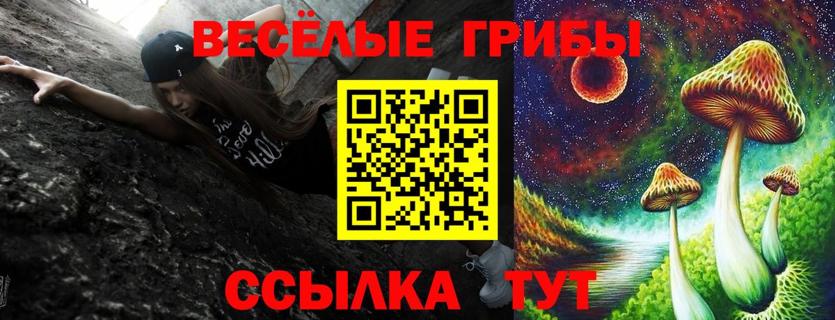 цены наркотик  Вход с VPN  Камень-на-Оби  Галлюциногенные грибы Magic Shrooms  Псилоцибиновые грибы MAGIC MUSHROOMS 